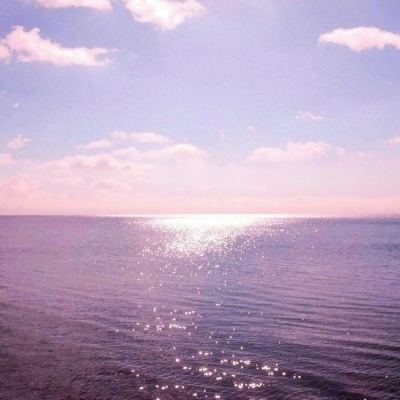 开元体育·登录入口截图